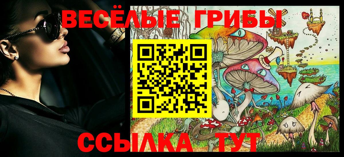 Псилоцибиновые грибы мухоморы Кандалакша