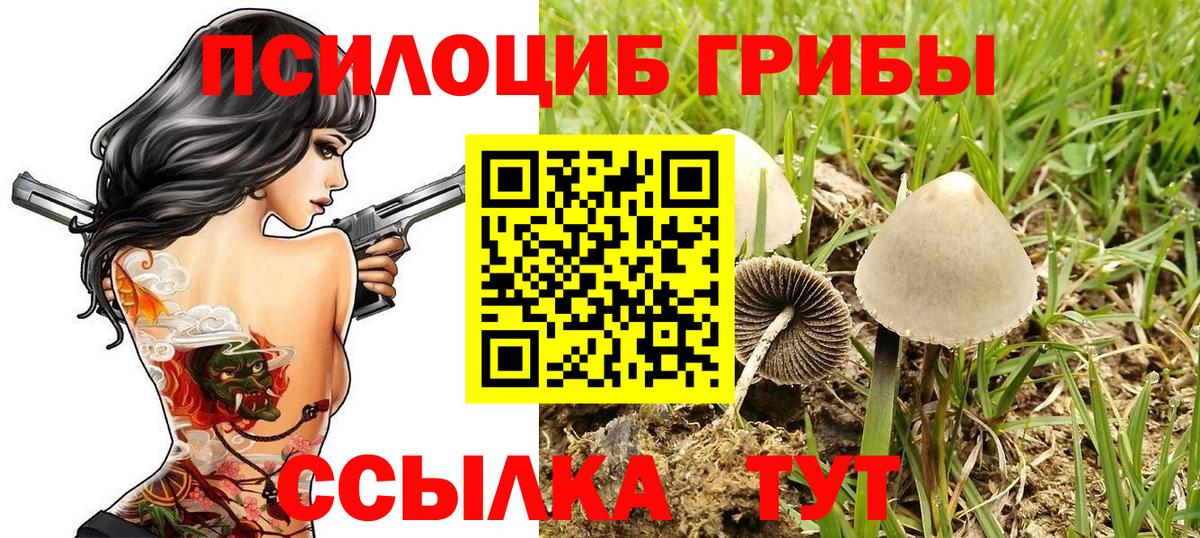 как найти закладки  Галлюциногенные грибы мицелий  Кандалакша  Вход с VPN  Псилоцибиновые грибы MAGIC MUSHROOMS 